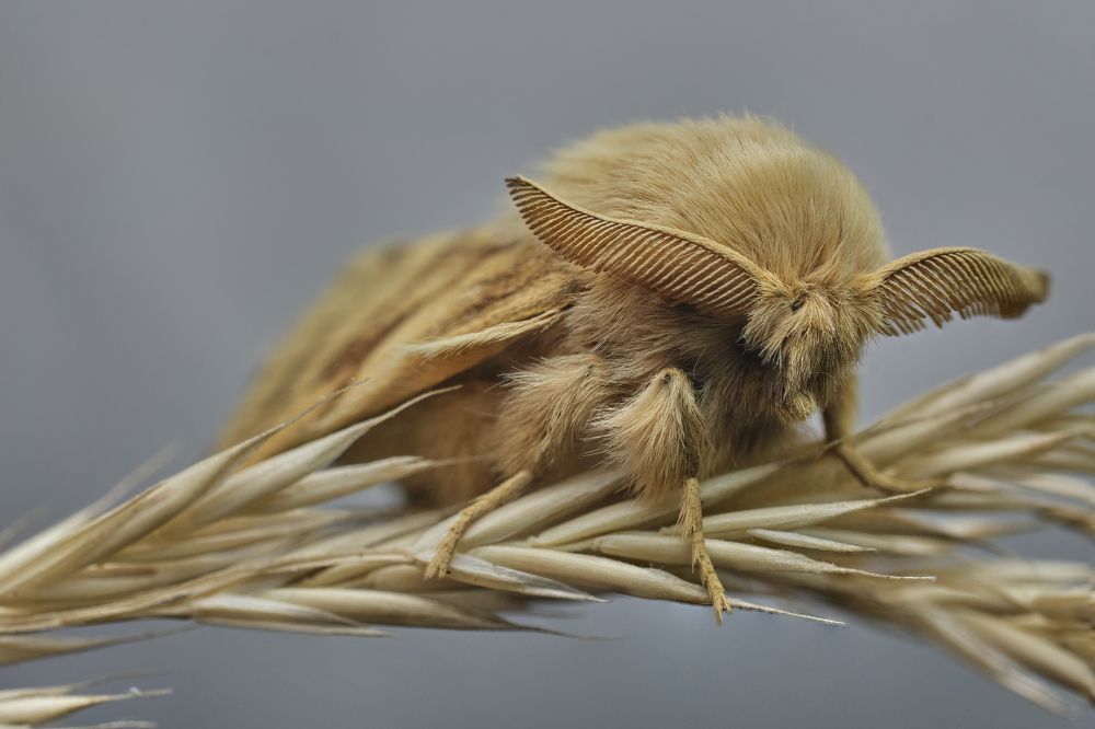 Фотография автора Eimar Kull