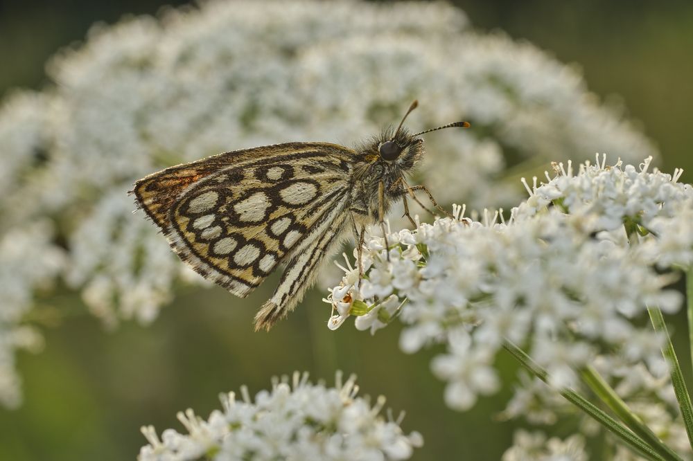 Фотография автора Eimar Kull