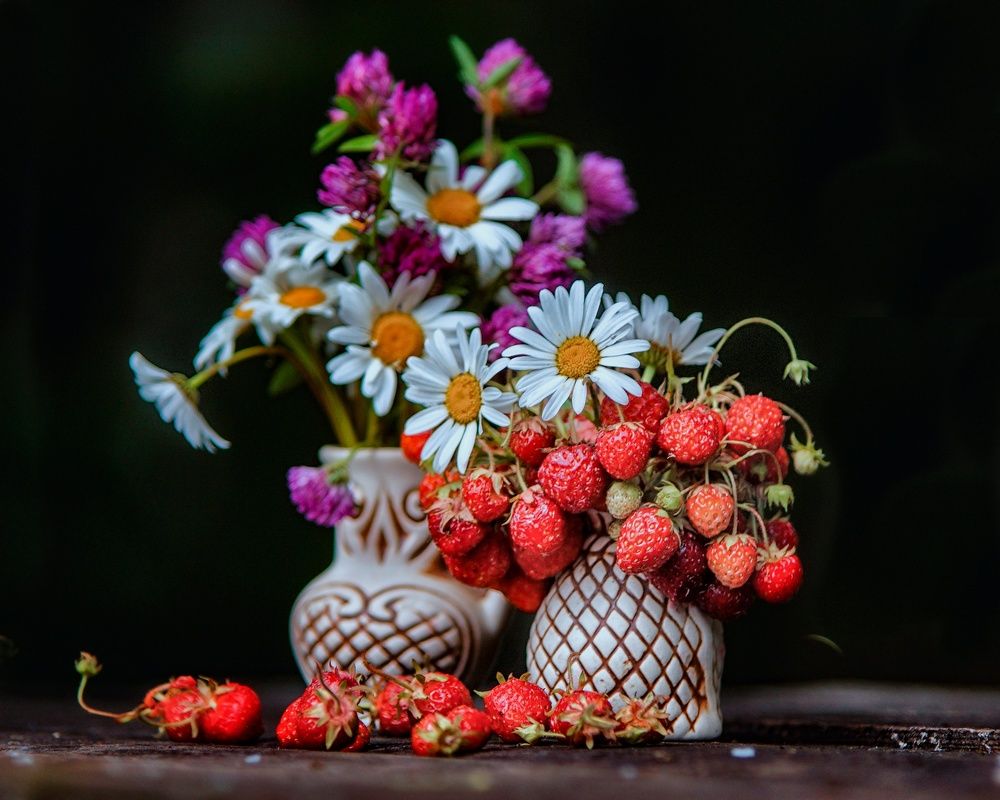 Photograph by Татьяна Шандромайло