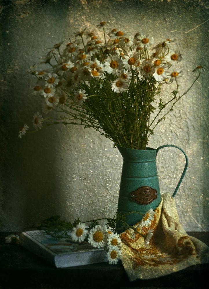 Photograph by Ольга Мальцева