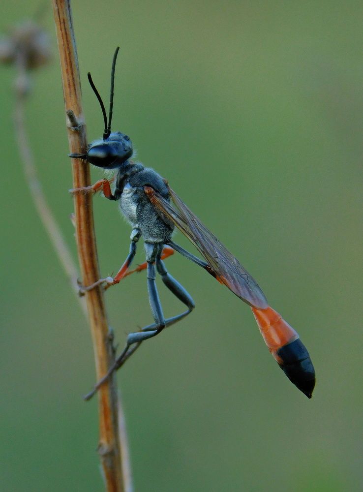 Photograph by Сергей Чеченов