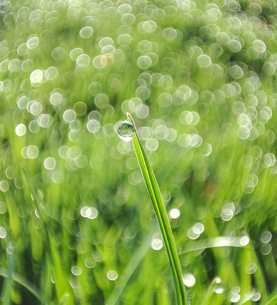 Photograph by Андрей Романов