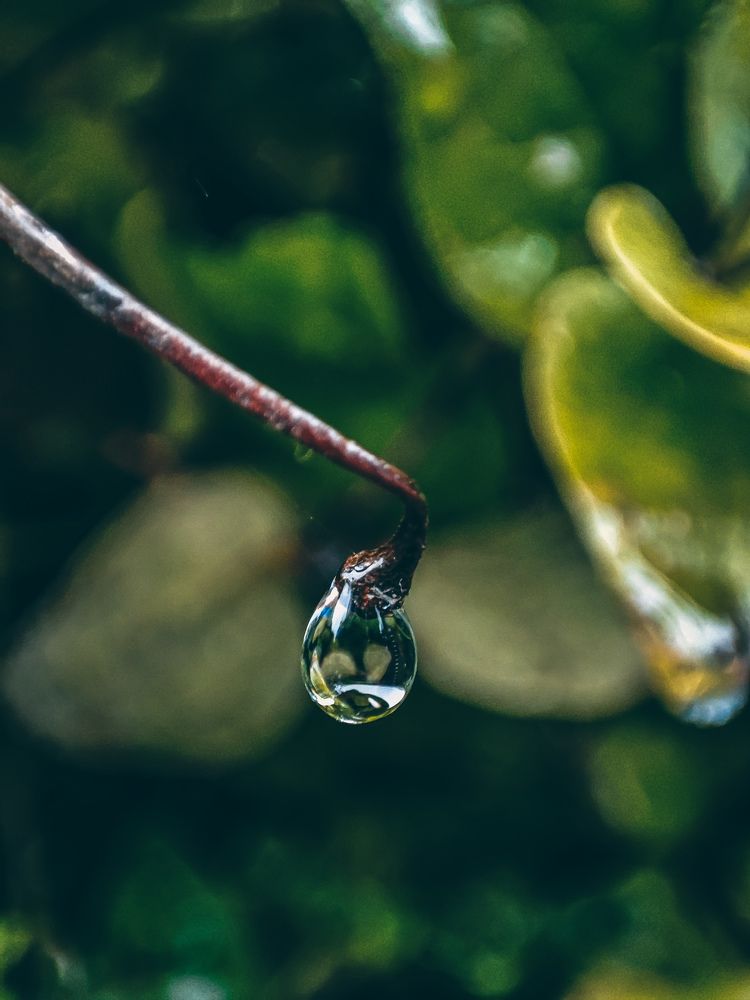 Photograph by Андрей Романов