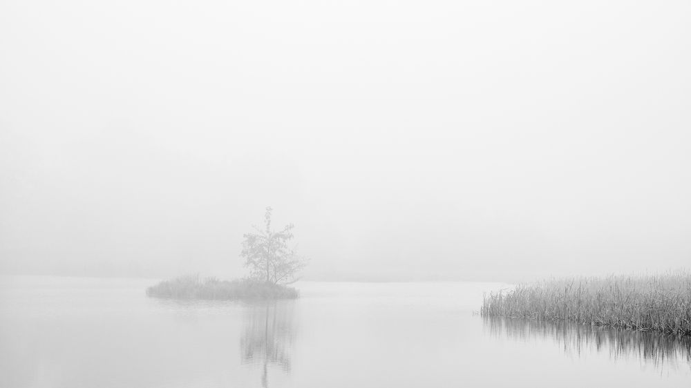 Photograph by Honza Urbánek