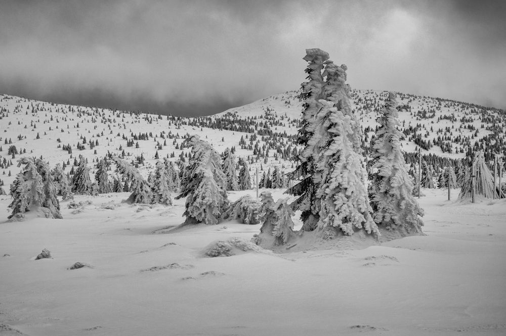 Photograph by Honza Urbánek