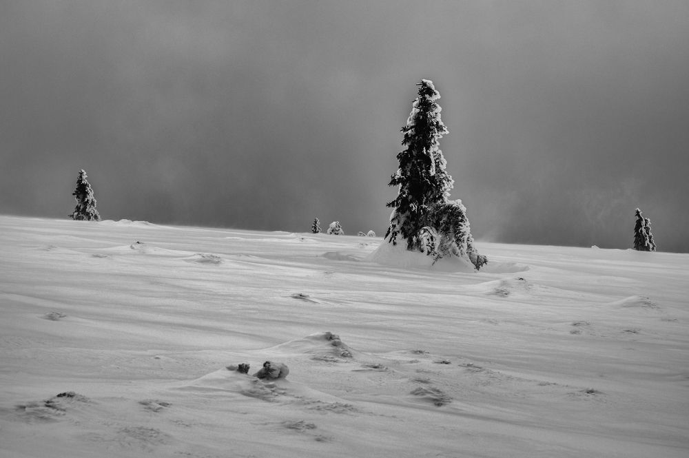 Photograph by Honza Urbánek