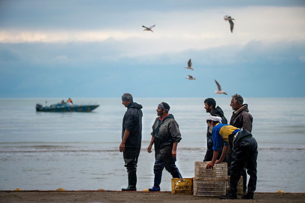 Photograph by mehdi mohebi pour