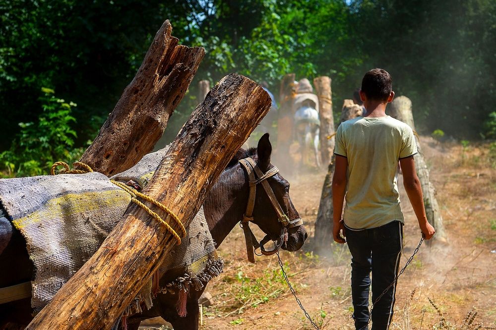 Photograph by mehdi mohebi pour