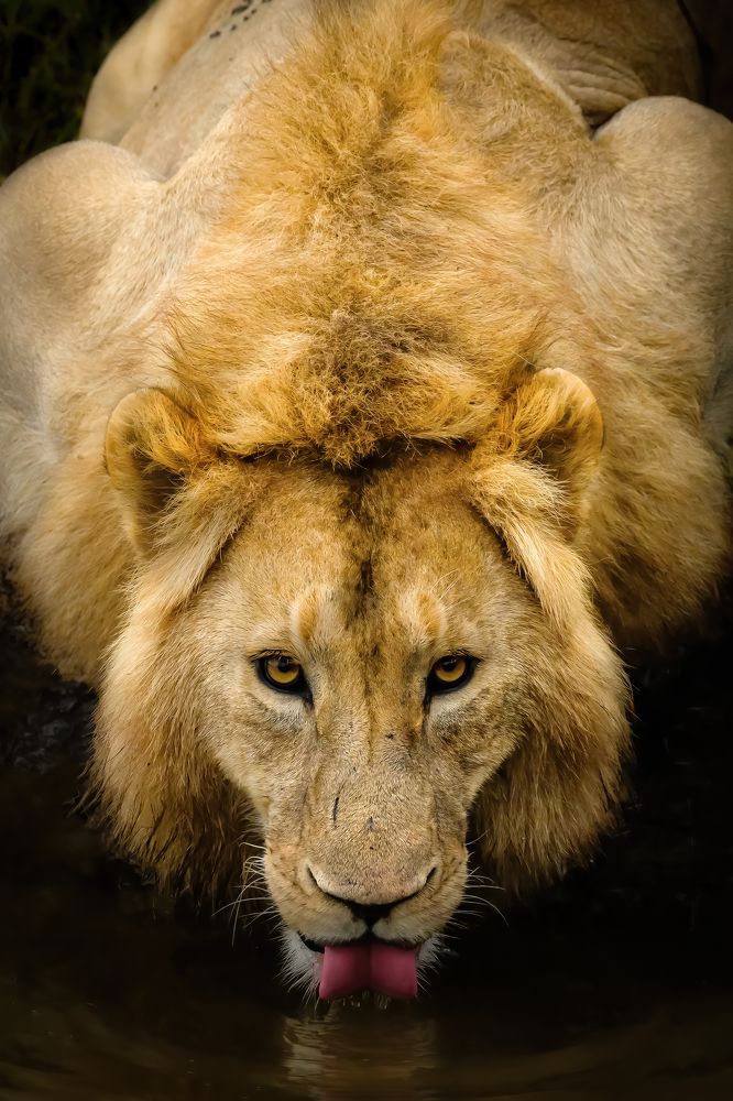 Photograph by Adrian Grigore