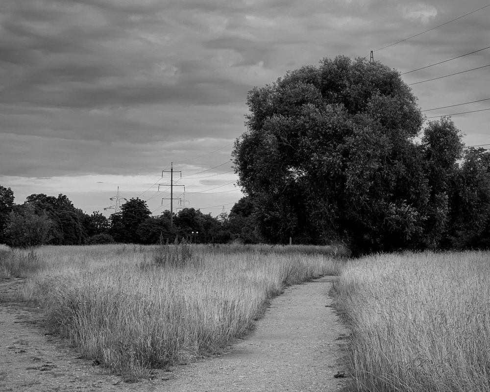 Photograph by Надежда Смирнова