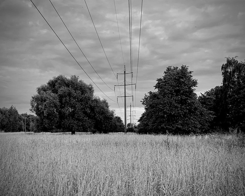 Photograph by Надежда Смирнова