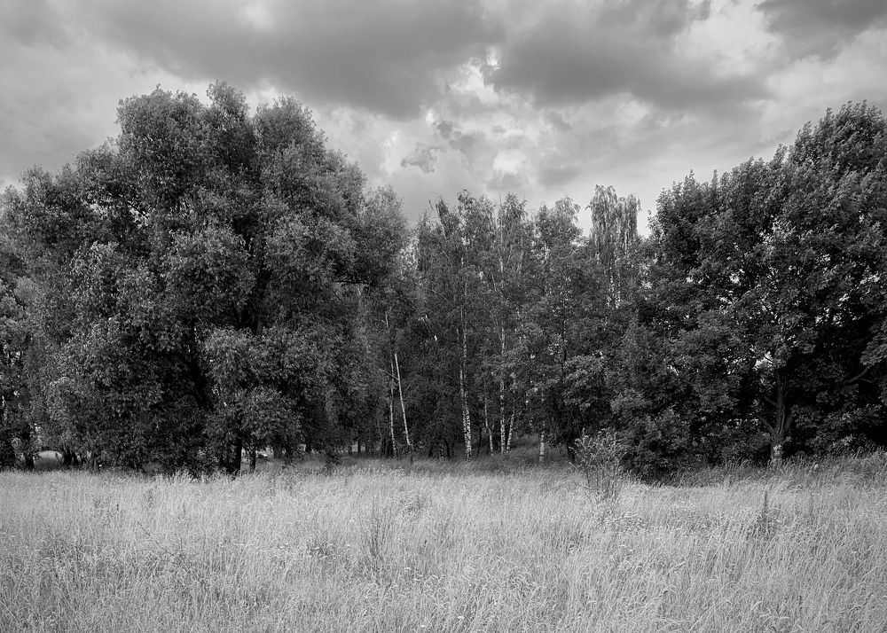 Photograph by Надежда Смирнова