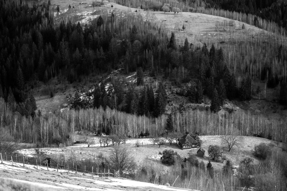 Photograph by Adrian Grigore