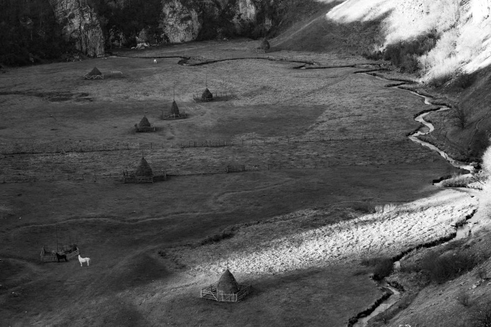 Photograph by Adrian Grigore