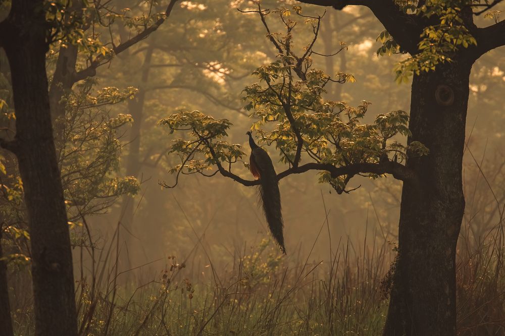 Photograph by Adrian Grigore