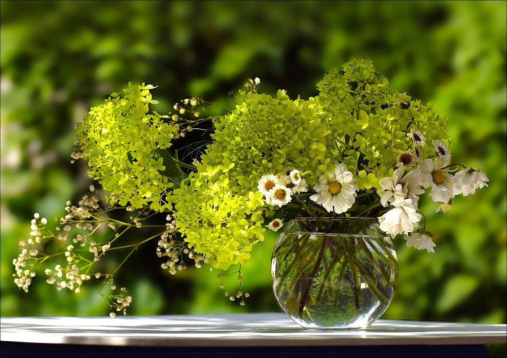 Photograph by Ольга Заболотская