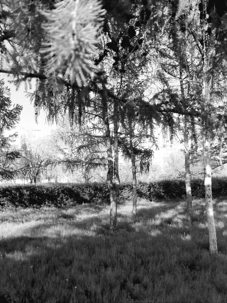 Photograph by Александр