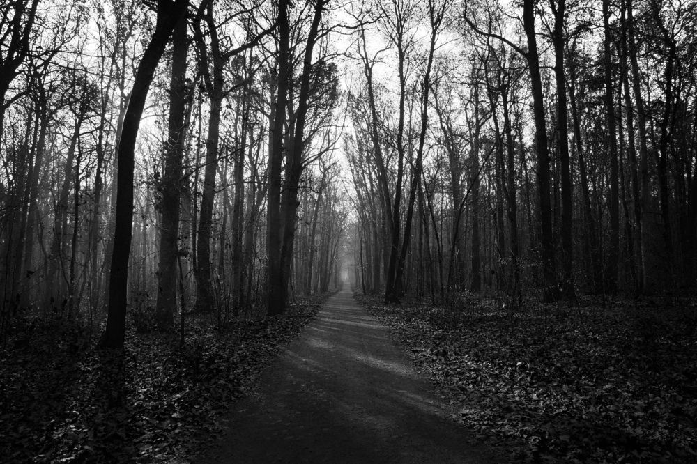 Photograph by Олег Чубайкин