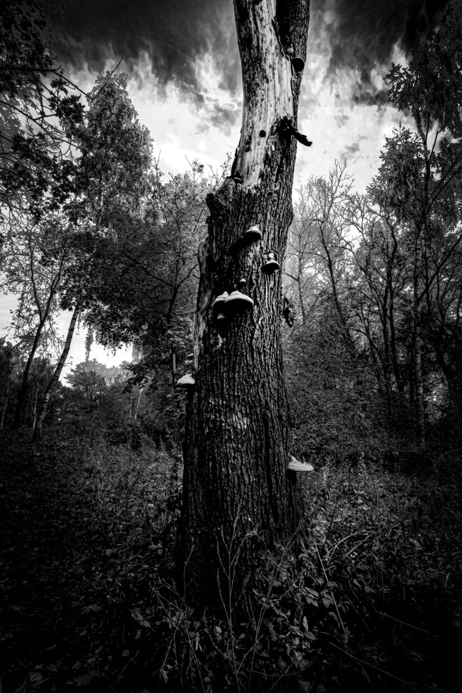 Photograph by Кристина Огранович