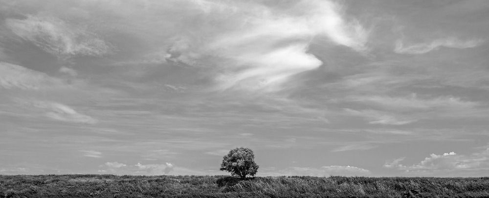 Photograph by Дмитрий Матвеев