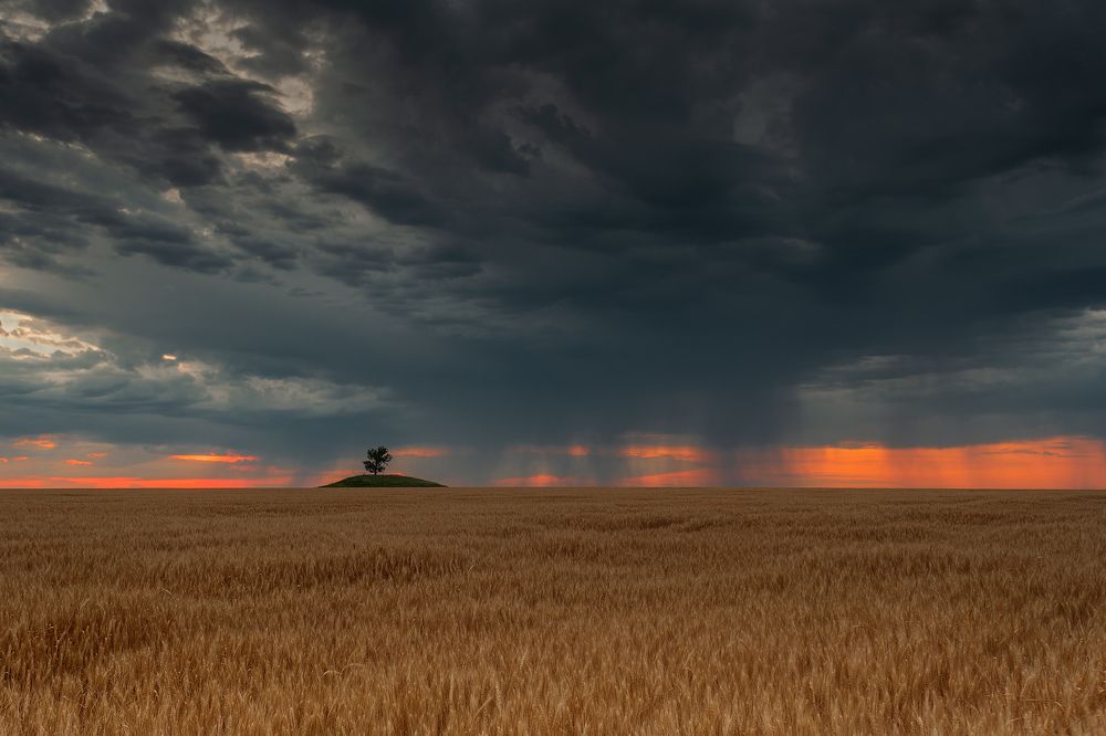 Photograph by Сергей Степанов