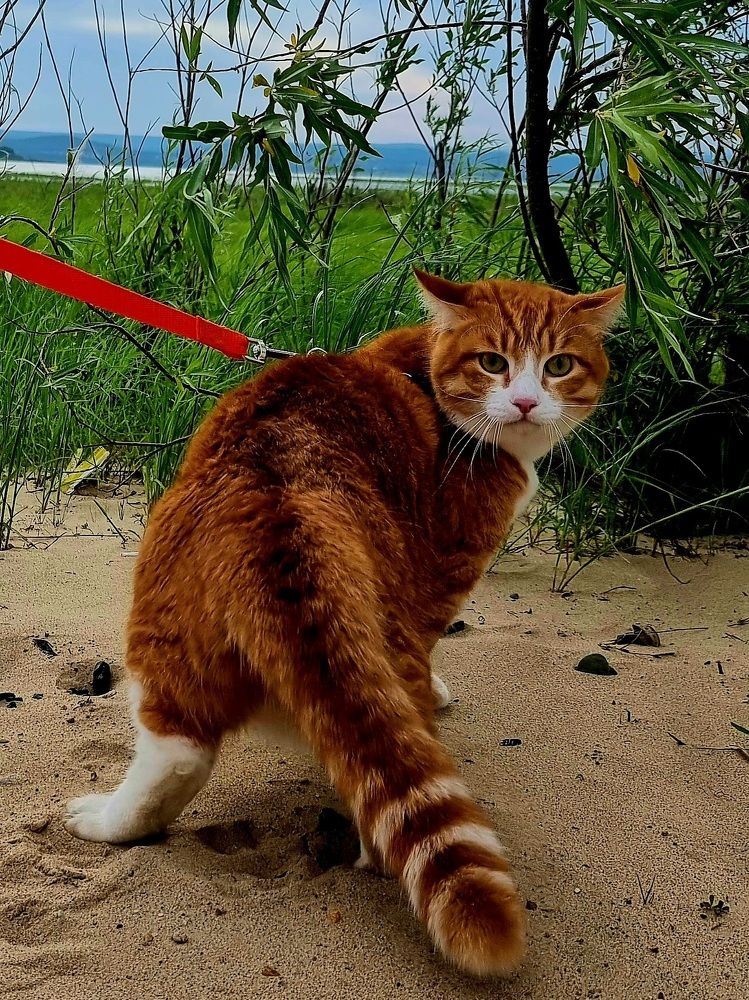 Photograph by Василий Садовский