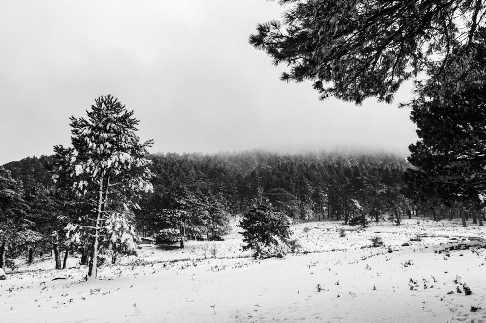 Photograph by Hasan Bayrak