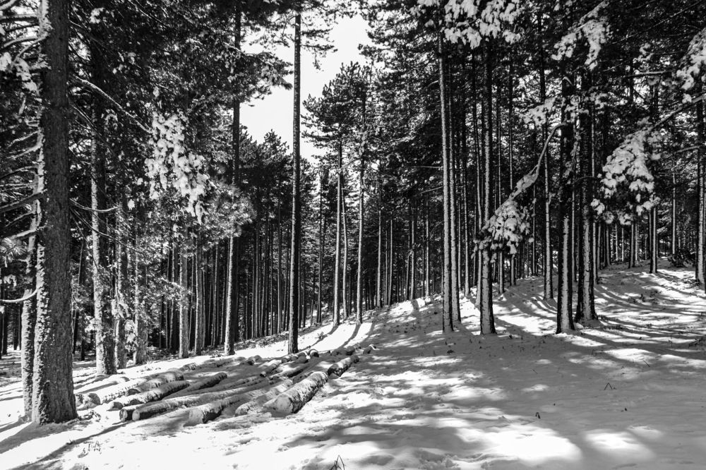 Photograph by Hasan Bayrak