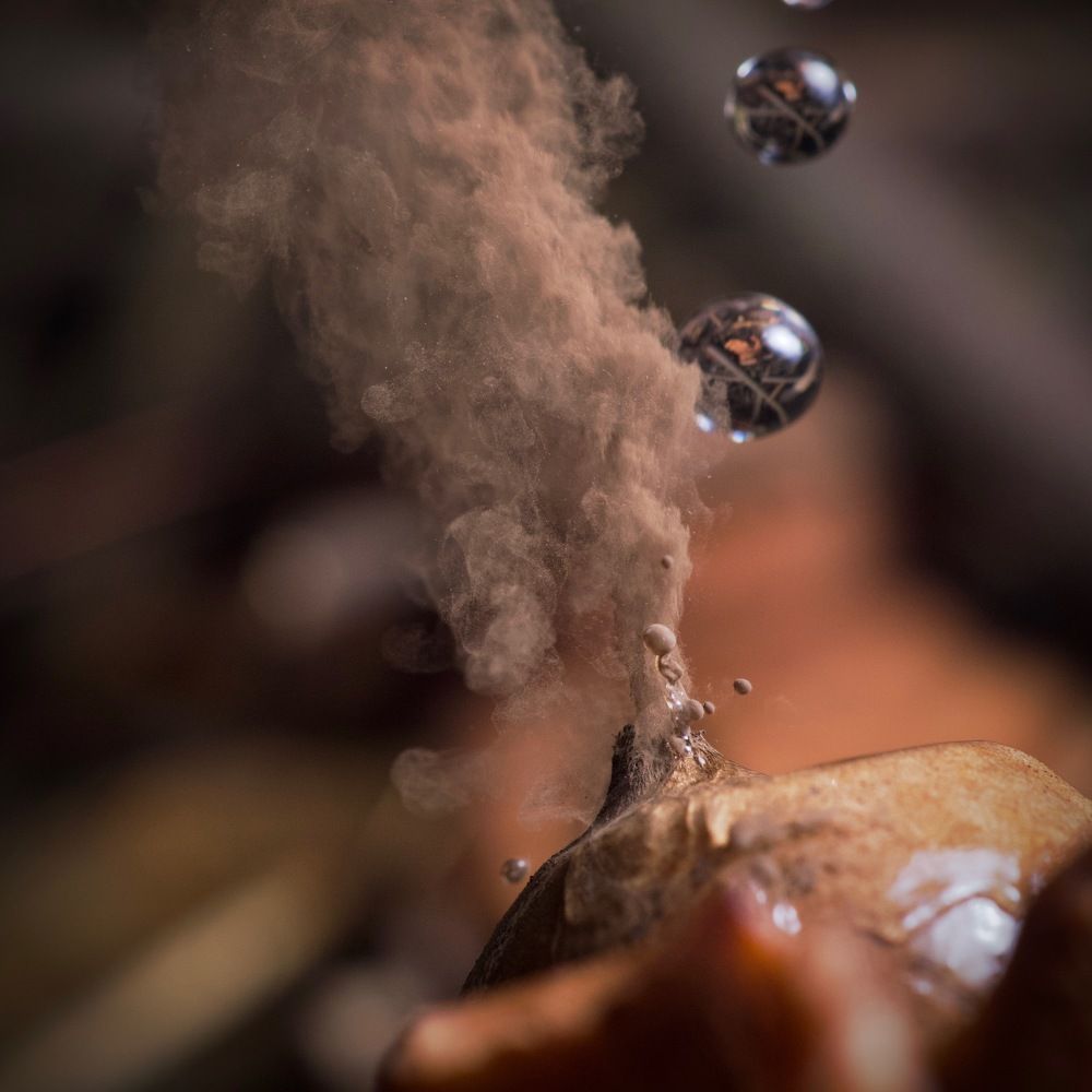 Photograph by José Granizo