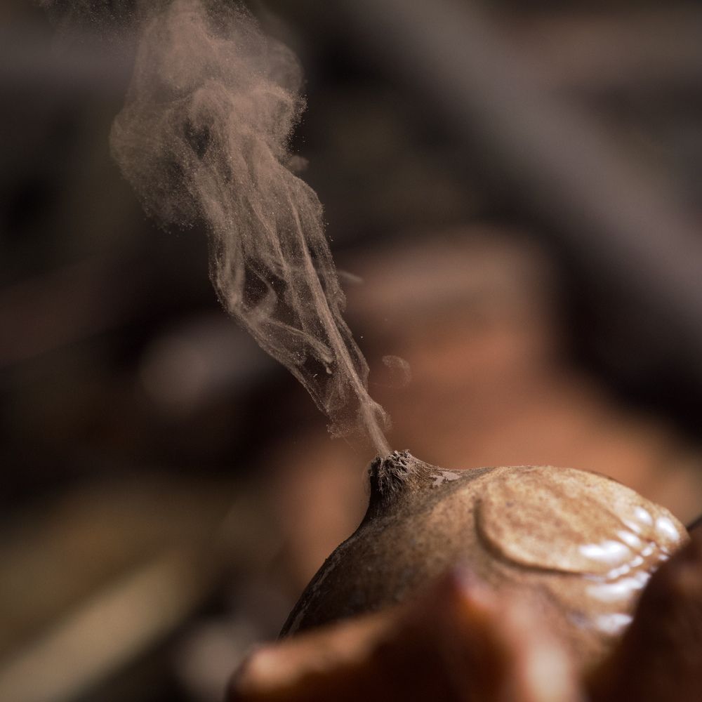 Photograph by José Granizo