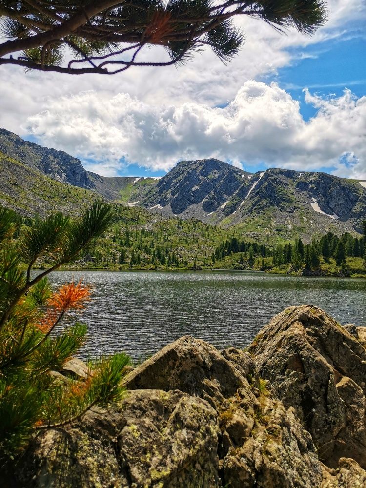 Фотография автора Регина Цыганова