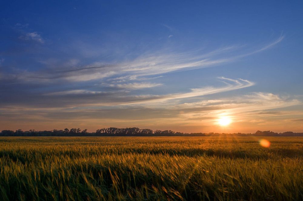 Photograph by Виталий Бодрягин