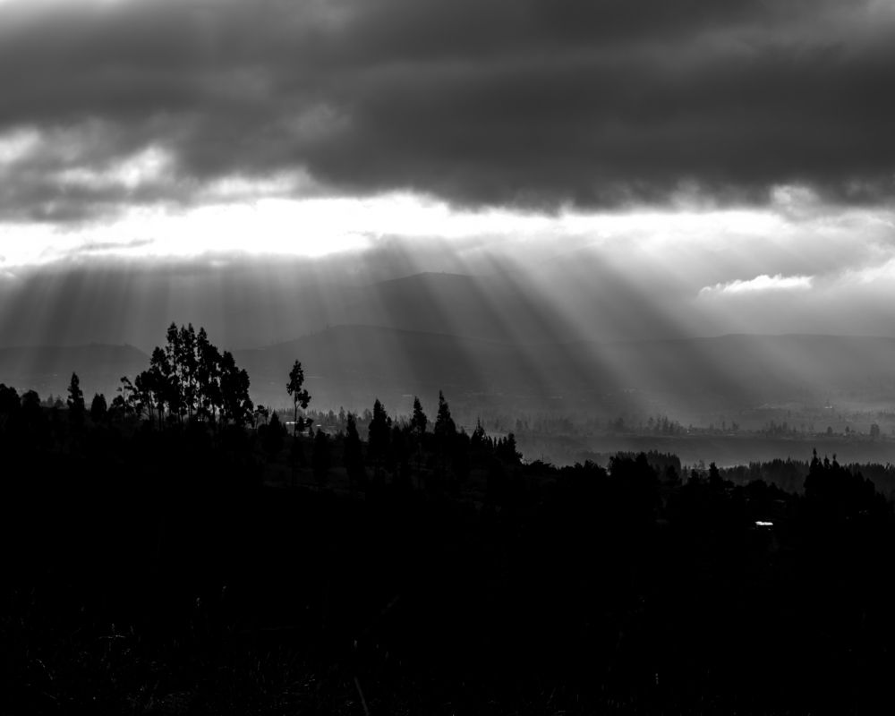 Photograph by Pedro Javier Pilamunga Rueda