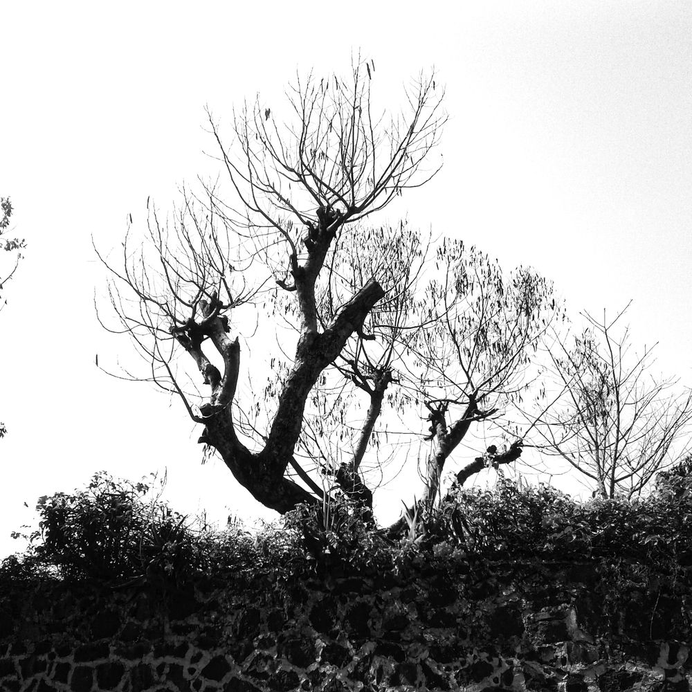 Photograph by Pedro Javier Pilamunga Rueda