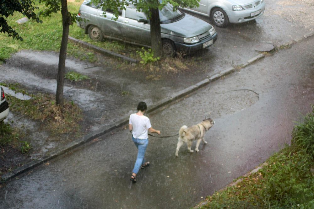 Photograph by Эдуард Шадров