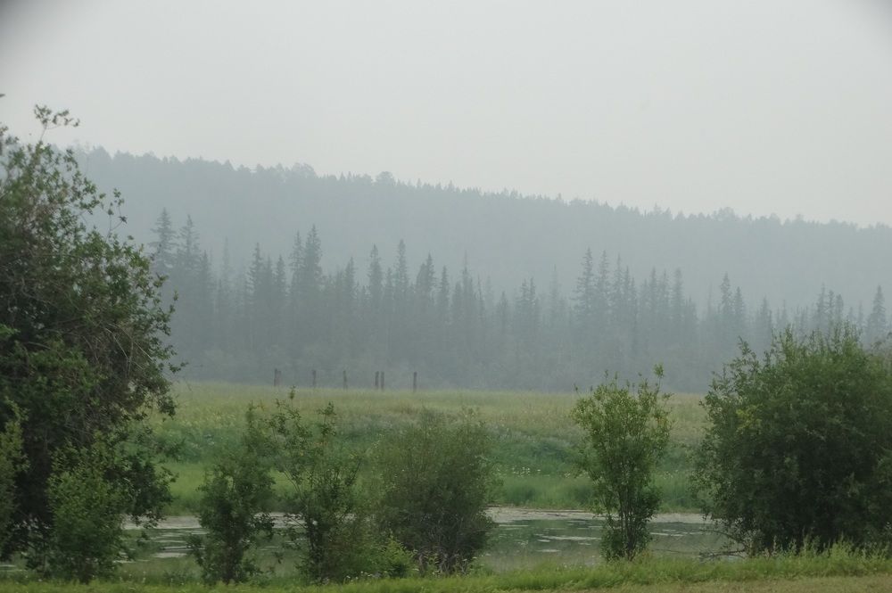 Photograph by Марина