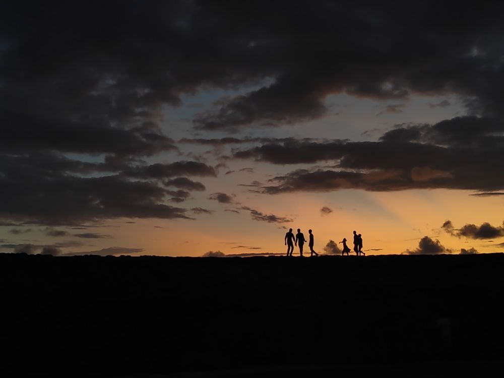 Photo #7790589