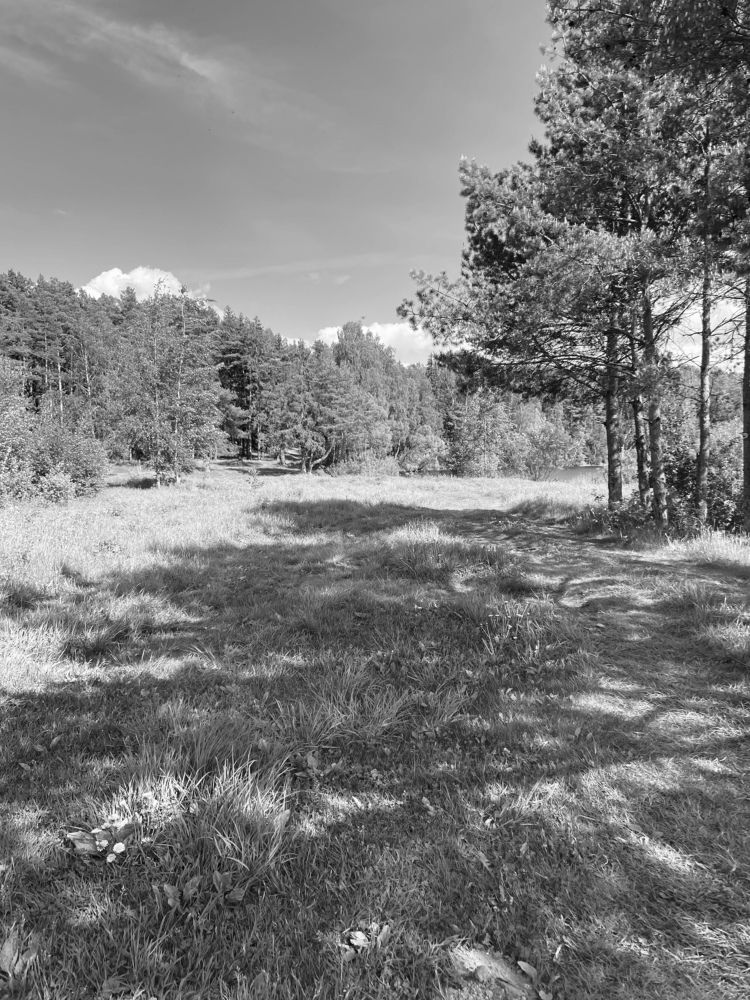 Photograph by Юлия Зеленева