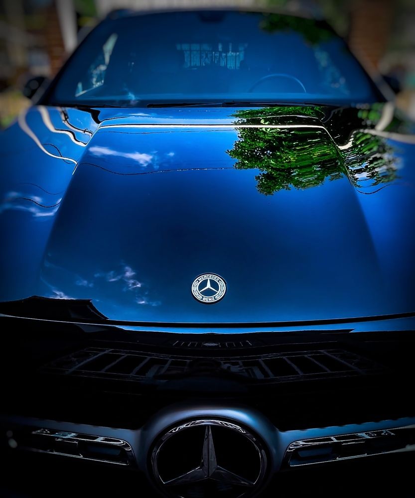 Фотография автора Рамзия Хисамутдинова