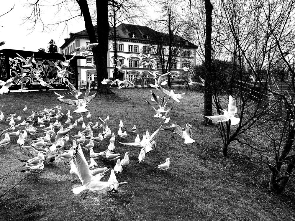 Photograph by Volkova Nataliia