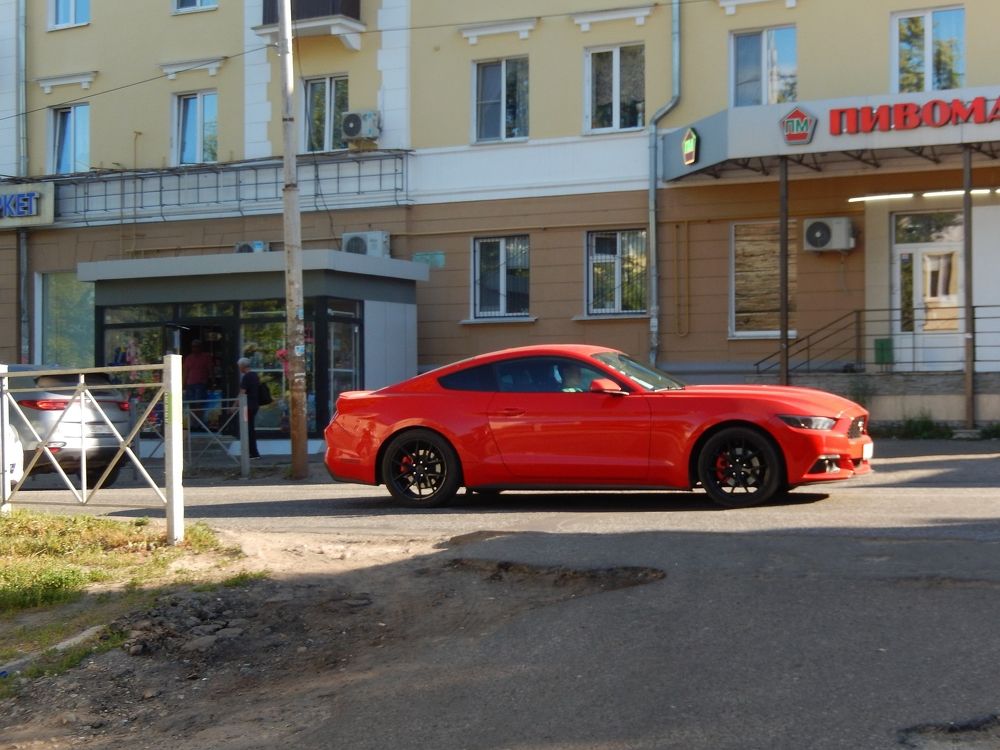 Фотография автора Клавдия Васильева