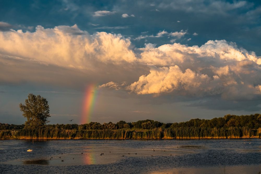 Photograph by Юрий Петруняк