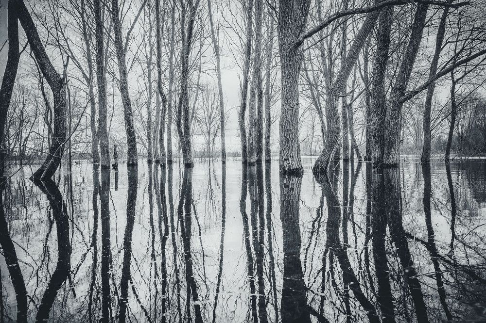 Photograph by Юрий Петруняк