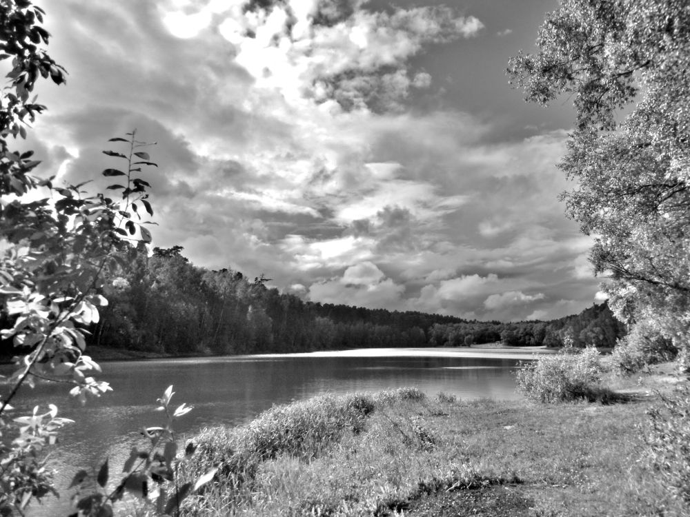 Фотография автора Клавдия Васильева