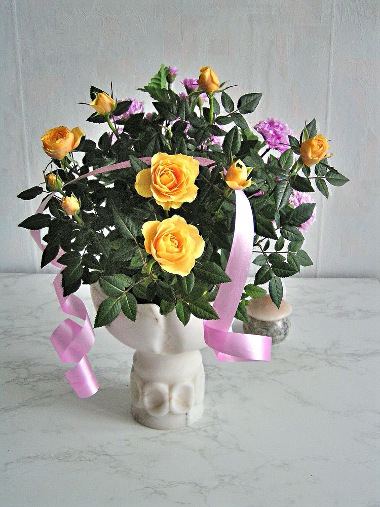 Фотография автора Клавдия Васильева