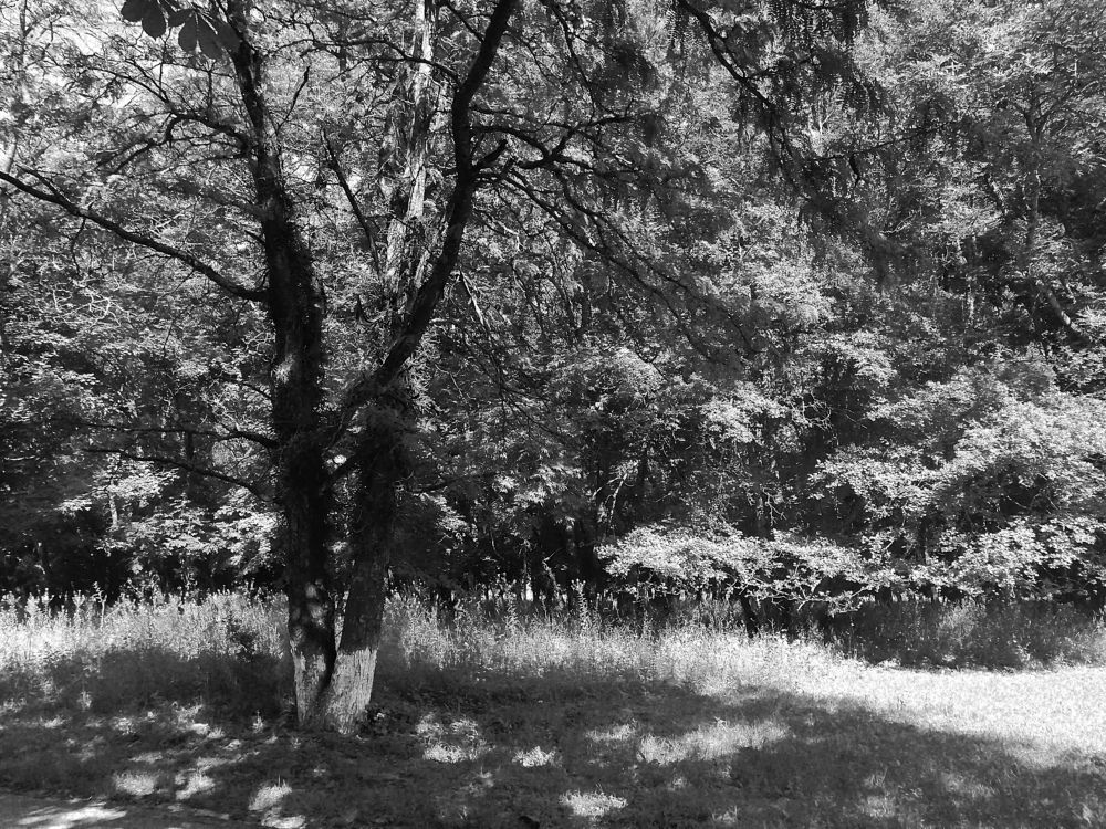 Photograph by Мила Мит