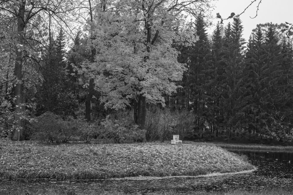 Фотография автора Анатолий Гарин