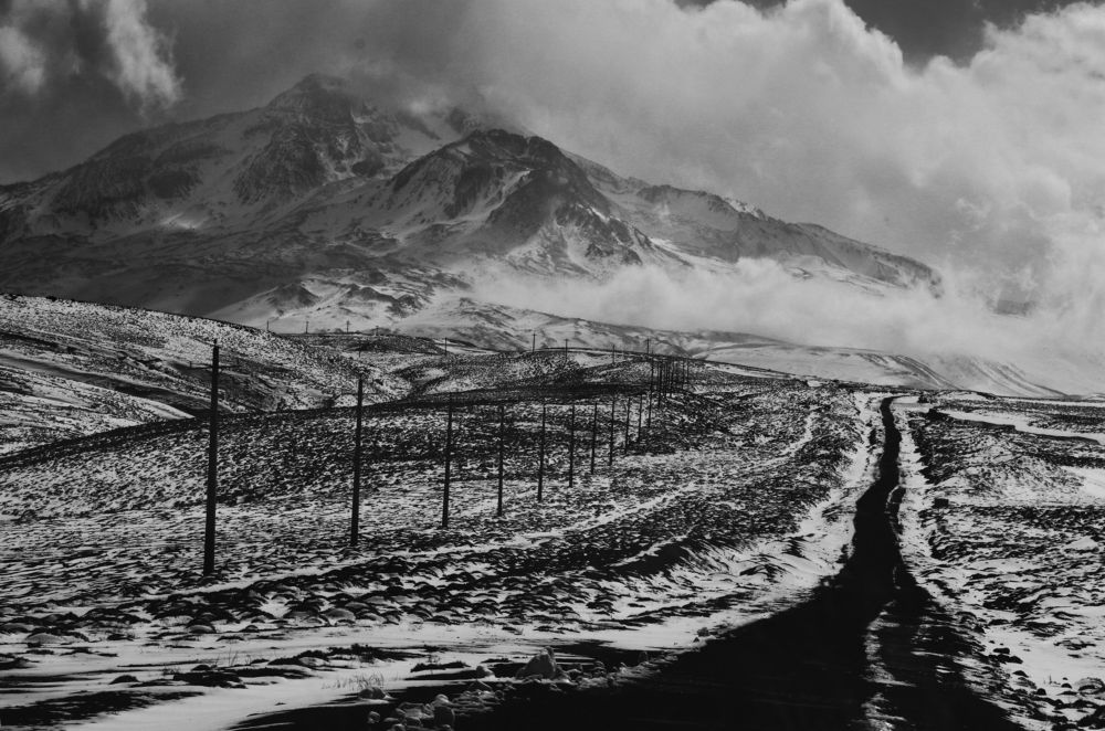 Фотография автора amir shafahi