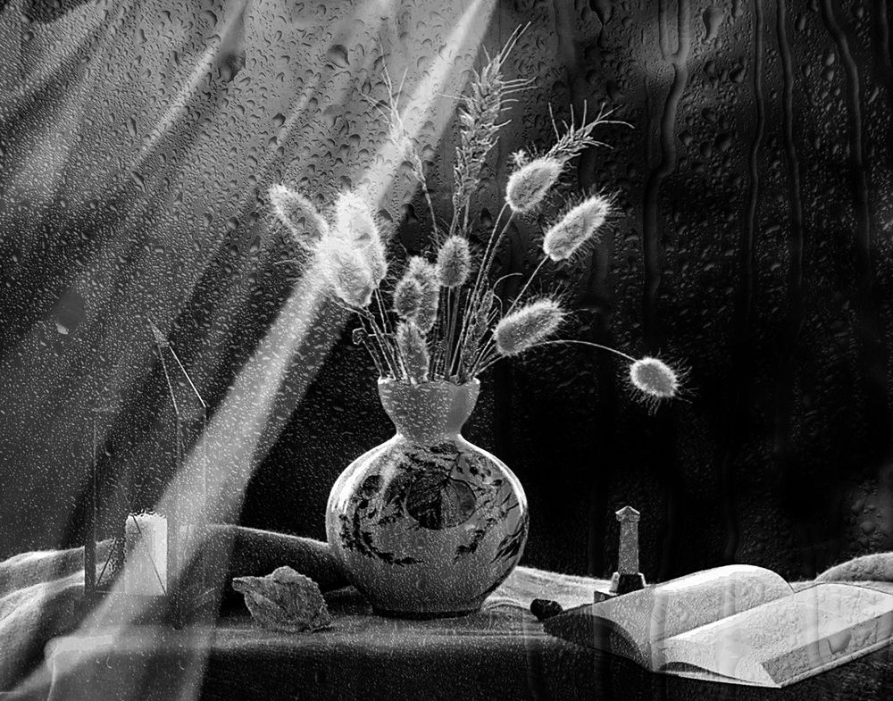 НАТЮРМОРТ С КНИГОЙ