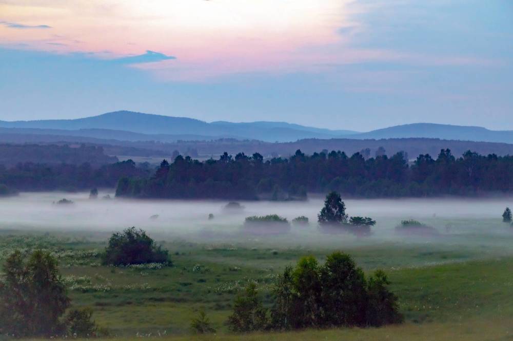 Туман в пойме реки